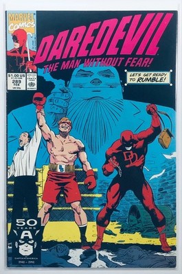 Daredevil #289 Marvel Comics February 1991 The Man Without Fear Comic Book  