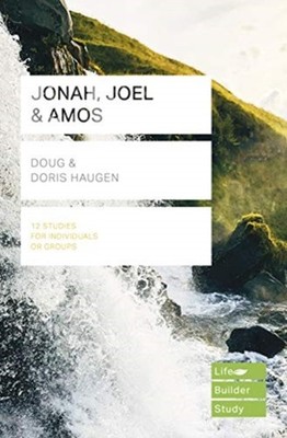 JONAH JOEL AMOS by HAUGEN DOUG DORIS Paperback Self Help Business