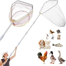 Chicken Catching Net Set   2 Nets W/ Adjustable 74 Inch Pole Lightweight Bird 