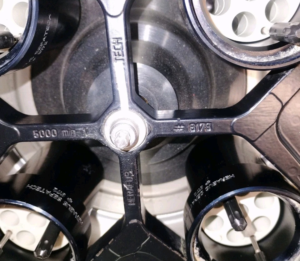 Rotor Heraeus Sepatech 8179 con cucharones y adaptadores para centrífuga (5.000 rpm) Foto 4 de 4