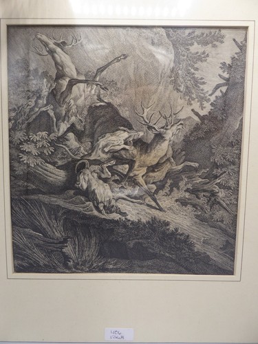 Kupferstich Johann Elias Ridinger Hirsch - Bild 2 von 8