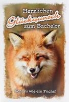 Kurt Eulzer Bachelor Karte GlüCkwunsch- Gruß- Klappkarte Studium Schlauer Fuchs