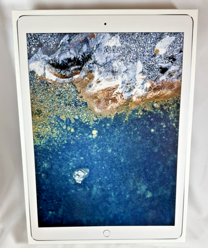 iPad Pro A1670 2ND Generation 12.9 Inch Wi-Fi 256GB Silver *EMPTY BOX ONLY*