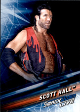 SCOTT HALL 2019 Topps WWE Smackdown Base #86 Professional Wrestling Trading Card