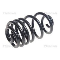 2X Fahrwerksfeder Hinten FüR Opel Mokka J13 1.7 1.8 12 Bis 19 Triscan D16DTH Neu