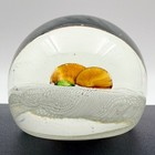 Murano Art Glass Paperweight Lampworked Fruit Pears on Parallel Latticino — photo 5