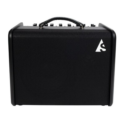 Godin Acoustic Solutions ASG-8 Black Akustik Combo 120 Watt