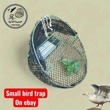Safe Mini Bird Trap with Inner Cage Escape Bird Catch Trap for Sparrows pigeon