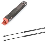 2X DäMpfer Heckklappen Gasdruckfeder 480N FüR Ford Transit Tourneo Connect 2002-