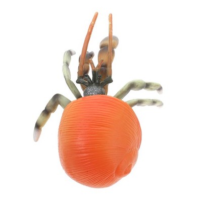  Pagurianisches Modellspielzeug Simuliertes Tiermodell Meerestierfiguren