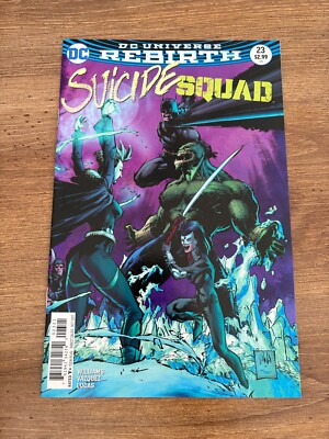 Suicide Squad # 23 NM 1st Print Variant Cover DC Comic Book Harley ...