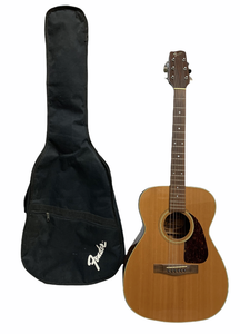 acoustic guitar soft case