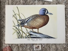 JAMES PARTEE JR.  BLUE WINGED TEAL DRAKE 11 x 17 WATERFOWL LITHOGRAPHL/E S/N
