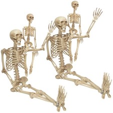Life Size Posable Human Skeleton Halloween Decoration Value 4 Pack- Adult 5' ...
