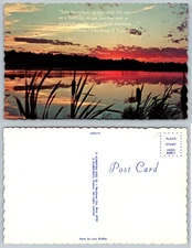 Florida Marsh Sunset Flamingo Nesting Postcard