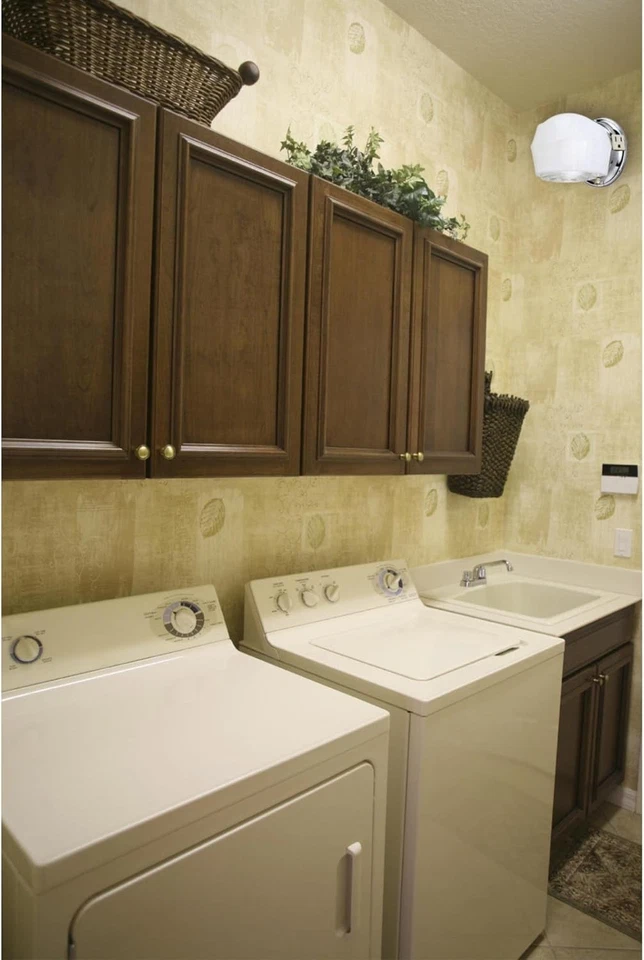 Westinghouse #66402 5 1/4" ancho pared 1 cuenta (paquete de 1), cromo Foto 3 de 3