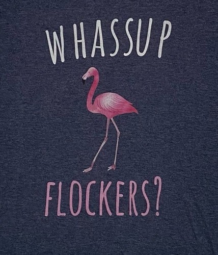 Flamingo Flockers Blue Heathered Short Sleeve Graphic T-shirt Sz S - Picture 2 of 3