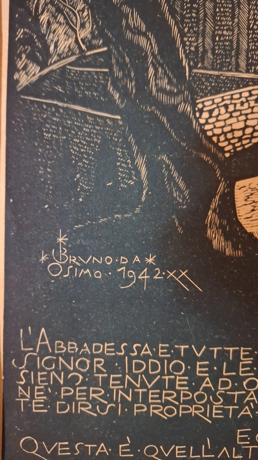 Foto 7 di 7