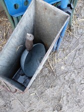 Grain Scoop With Vintage Tub For Storage