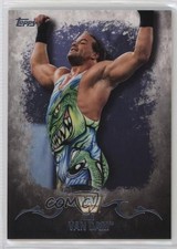 2016 Topps WWE Undisputed Rob Van Dam #85 8d4