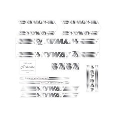 Skyway T/A decal set - chrome version