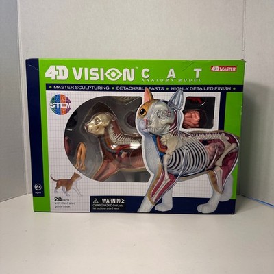 4D Master Vision Cat Anatomy Model 28 Parts Complete Open Box w/ Guide STEM