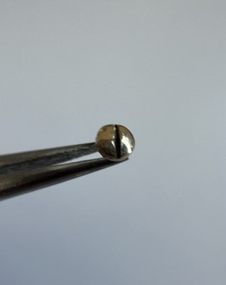 EBEL Sport Classique zB 183903 Herrenmodell 1x Lünetten-Schraube 2mm 750er Gold 