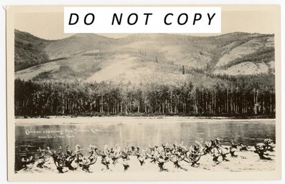 Yukon Canada Vintage Sepia RPPC Postcard Whitehorse & Yukon Route, Hilltop View