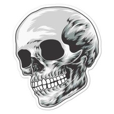 Skull Human, Vinyl Decal Sticker, Indoor Outdoor, 3 Sizes, 7859