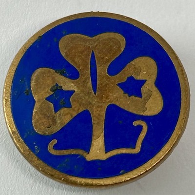World Association of Girl Guides Trefoil Vintage Emaille Pin Anstecker Guiding Scouts