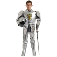 Boy's Knight Costume - Underwraps Costumes