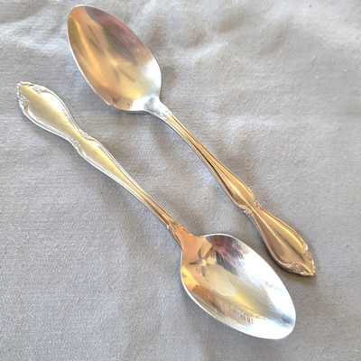Oneida Ltd. Stainless Berkeley Square 2 Teaspoons 6'' #72394 Glossy Floral READ