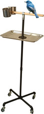 Stainless Steel Tray Bowls Bird Perch Stand,With Wheels Parrot Stand,Parrot Perc