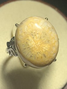 Big Golden Flower Natural Silicified Coral Fossil Flower Agate Ring/ Adjustable