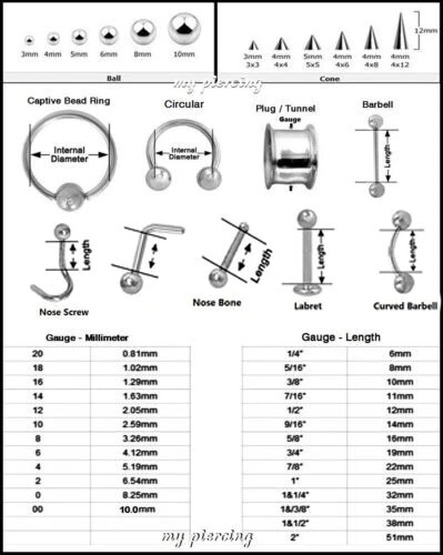 PAR de pendientes circulares de herradura de acero quirúrgico anodizado y tabique 12G 10G 8G 1/2" Foto 2 de 2