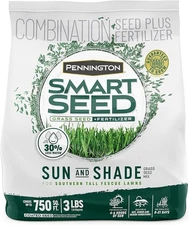 Semillas de césped festuca alta para sol y sombra Pennington Smart Seed