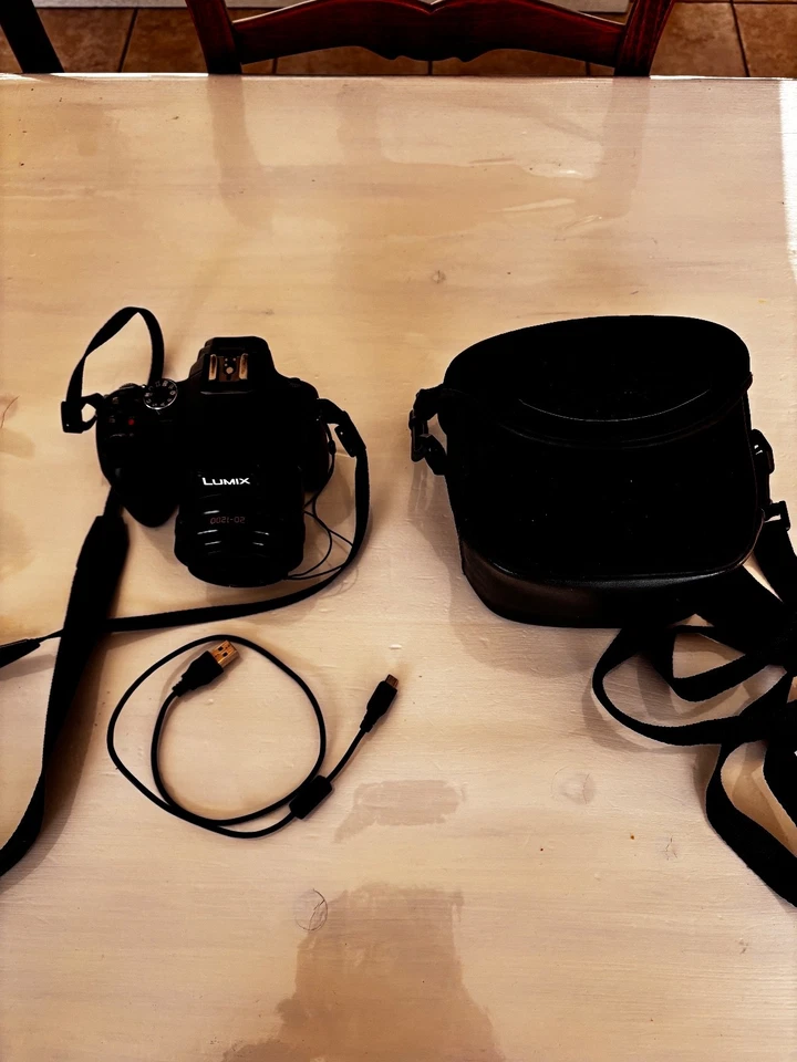 Panasonic Lumix DC-FZ82, photo 3 sur 5