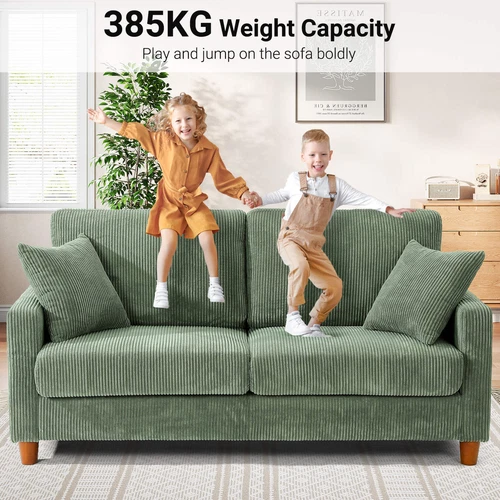 2 / 3 Seater Teddy collections Velvet Sofa with 2 Pillows Couch Love Seat Settee Green Gray