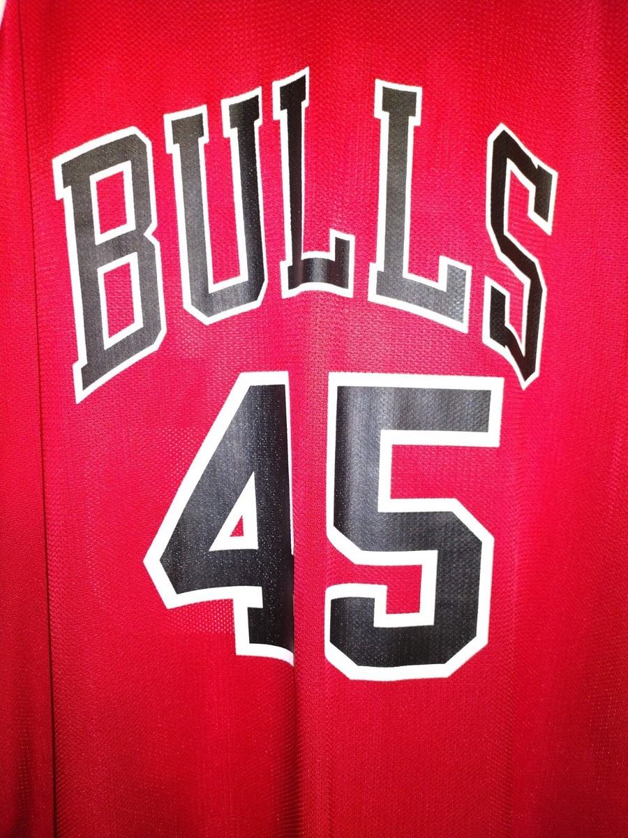 Vintage Men's Champion NBA Chicago Bulls Michael Jordan Number 45