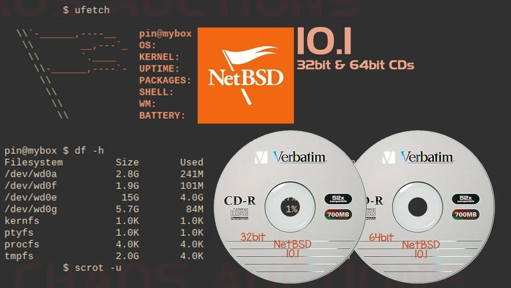 NetBSD 10.1 CDs