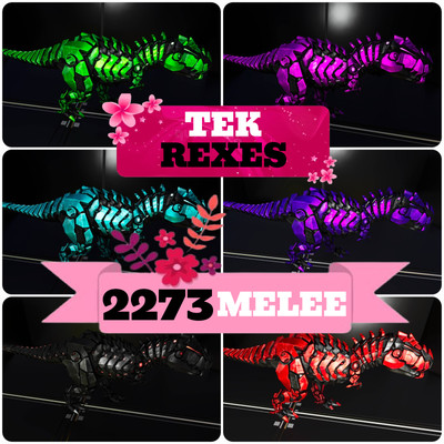 The Ark Market | Buy Ark: Survival Ascended Dinos & Items