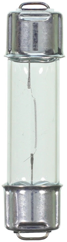 Bombilla de cortesía Wagner Lighting bombilla domo mapa bombilla lectura Foto 4 de 4