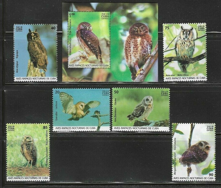 2019 Birds Owls Caribbean Island Spanish Antilles MNH S/S Set
