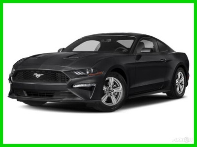 2019 Ford Mustang BULLITT 2019 BULLITT New 5L V8 32V Manual RWD Premium