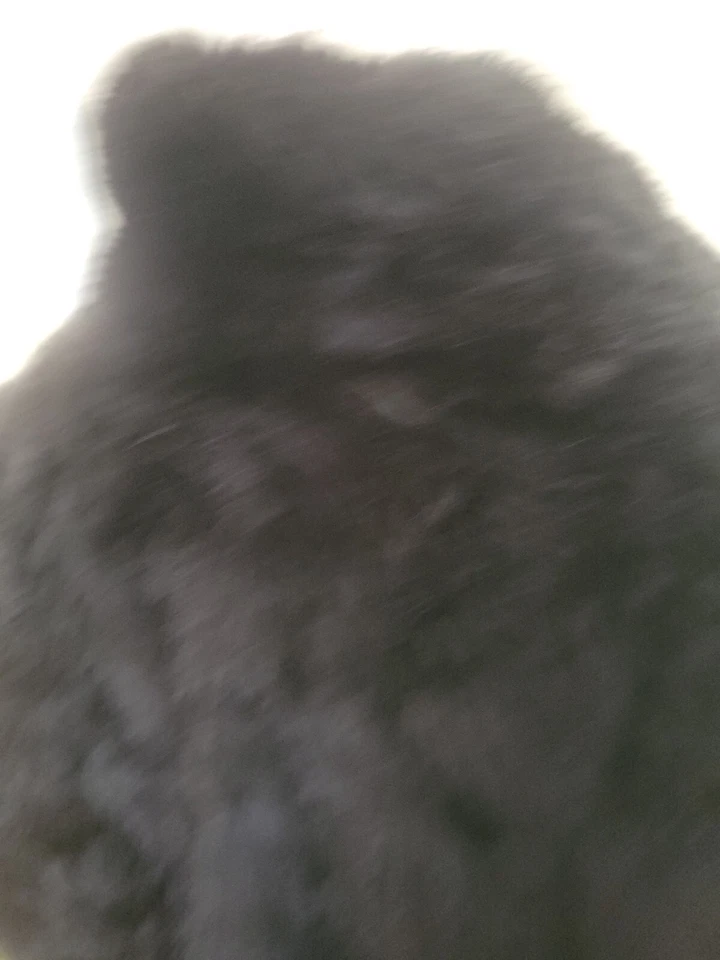 复古 70 年代 Mademoiselle Furs 黑色 Raɓbit 夹克小号 GUC — 第 4/4 张图片