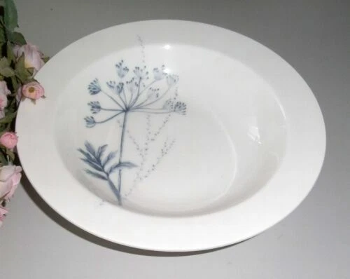 Geschirr-Eisschalen aus Porzellan