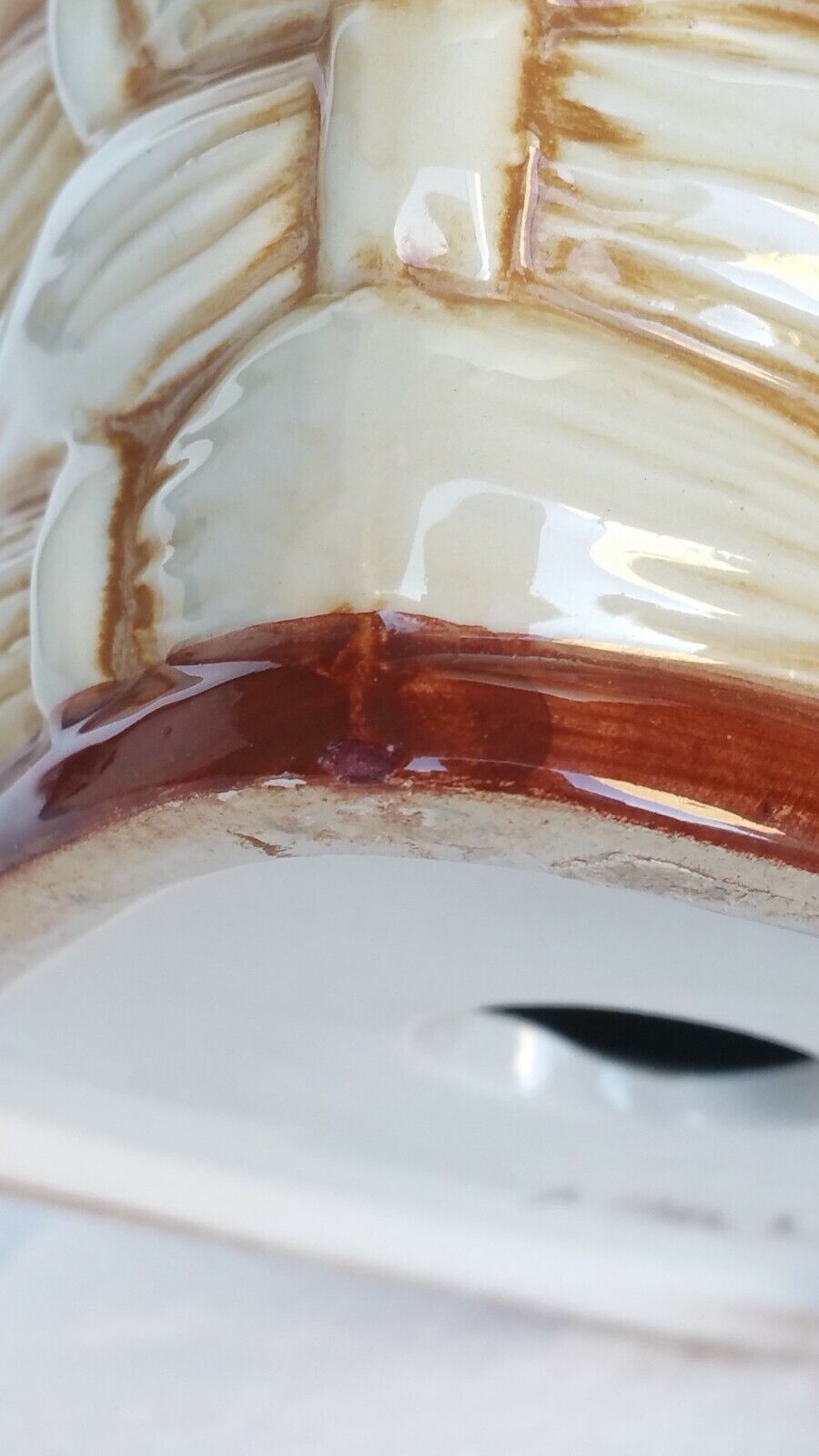 Foto 12 di 12