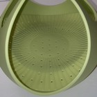 Foto 8 di 12