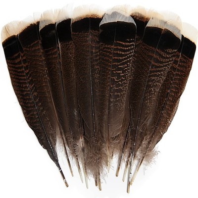 THARAHT 24pcs Natural Wild Turkey Tails Feathers Quill Bulk 6-8inch 15-20cm f...