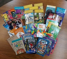 Lot of 40 Kids Chapter Books for 3rd Grade Classroom Boys  Girls Mostly RL3 